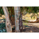 Real Tree 2 Pack Tree Hanging Harness with Hooks - 240313