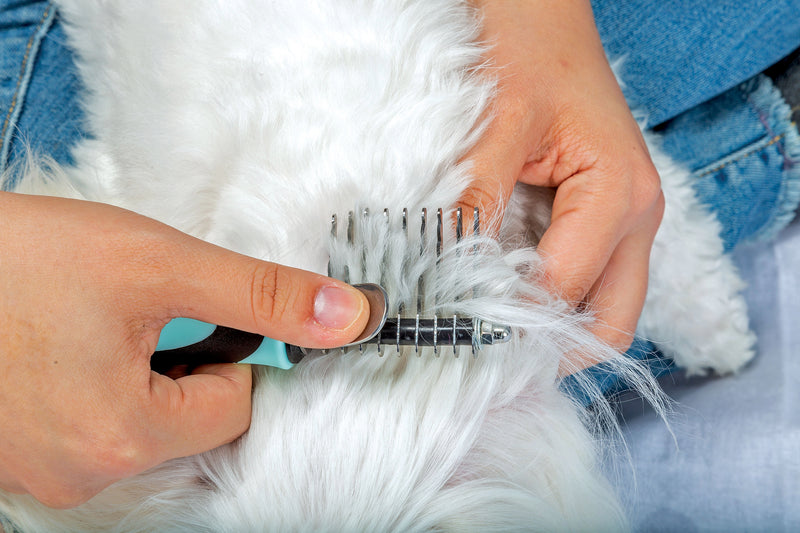 PixiePaws™ 6 Piece Pets Grooming Set - 530004E