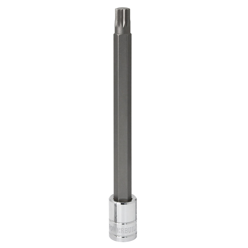 3/8 in. Dr. 10mm 12 Point Bit Socket for Head Bolts