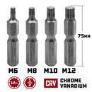 4 Piece 12 Point Internal Bit Set