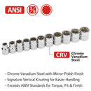 11 Pc. 3/8 in. Drive Shallow Socket Set - Metric 12 Pt.