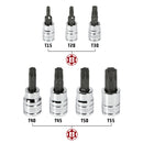 Powerbuilt 7 Piece Torx Bit Socket Set - 648414