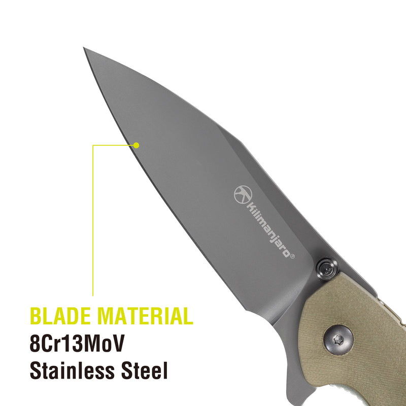 Morsa 8 in. Folding Knife -  Titanium Nitride Blade